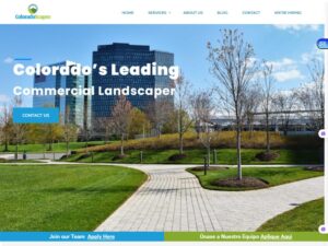 Website Portfolio Mustajab Hub