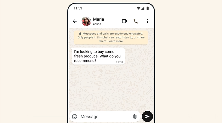 WhatsApp automation small business Pakistan - How to Set Up WhatsApp Automation for Your Small Business in Pakistan (Step-by-Step, No Coding) - Why WhatsApp Automation Is Essential for Pakistani Small Businesses Right Now - WhatsApp Business App vs WhatsApp Business API