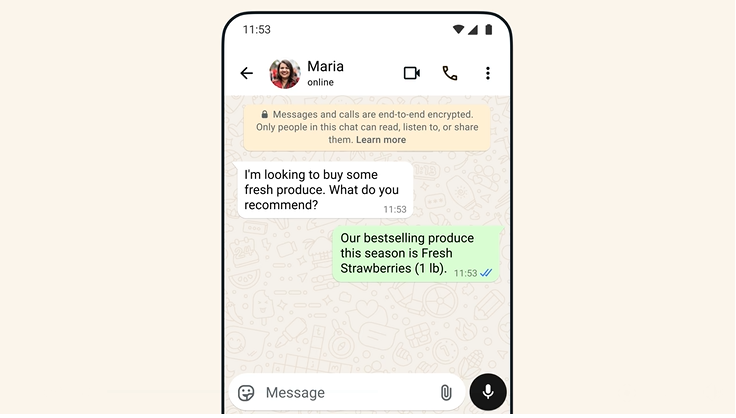 WhatsApp automation small business Pakistan - How to Set Up WhatsApp Automation for Your Small Business in Pakistan (Step-by-Step, No Coding) - Why WhatsApp Automation Is Essential for Pakistani Small Businesses Right Now - WhatsApp Business App vs WhatsApp Business API